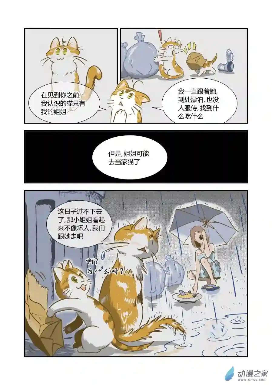 猫咪X猫咪01 平凡X幸福