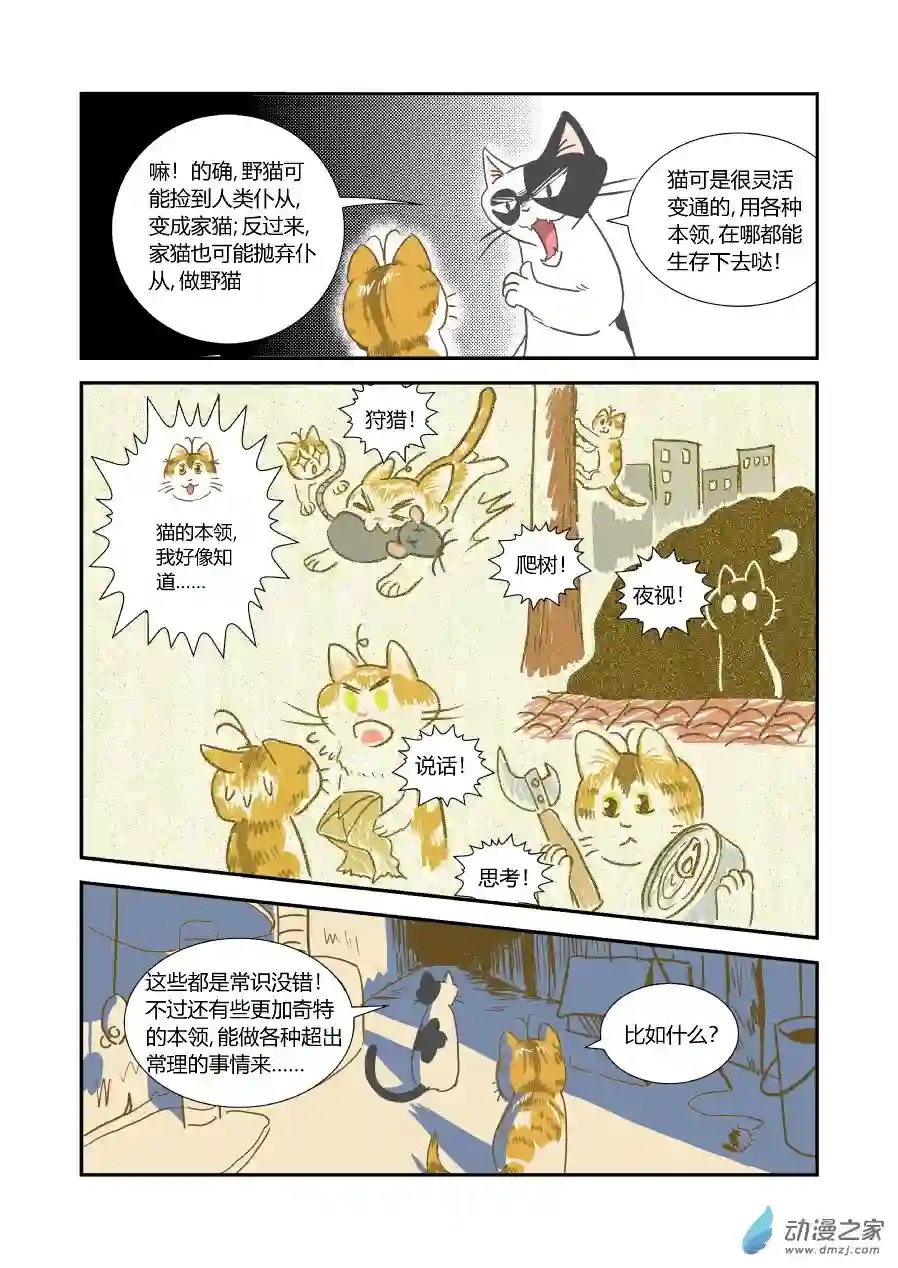 猫咪X猫咪01 平凡X幸福