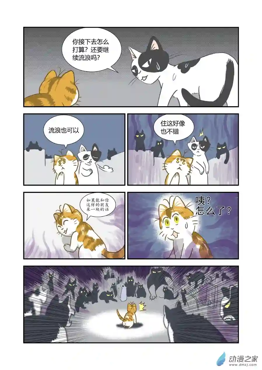 猫咪X猫咪01 平凡X幸福