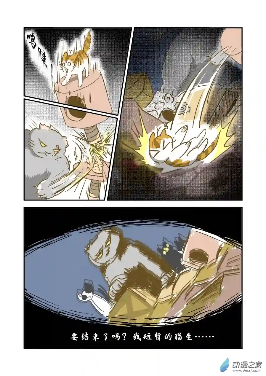 猫咪X猫咪01 平凡X幸福