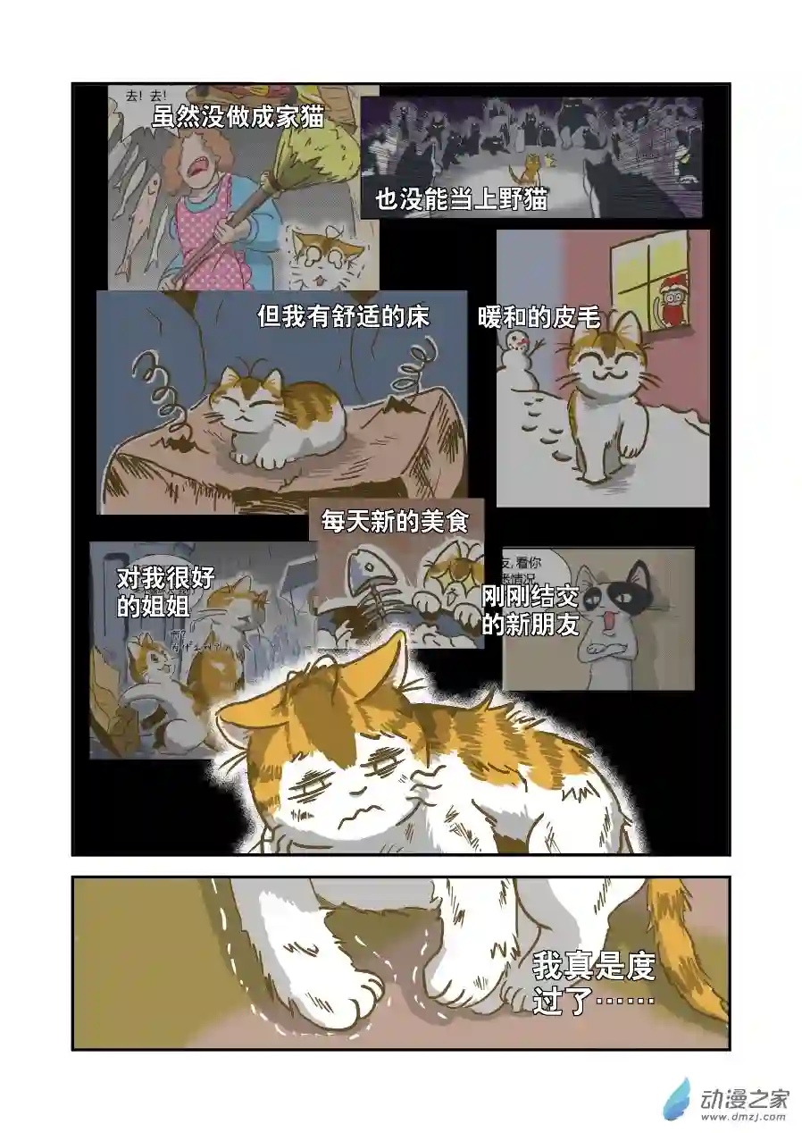 猫咪X猫咪01 平凡X幸福