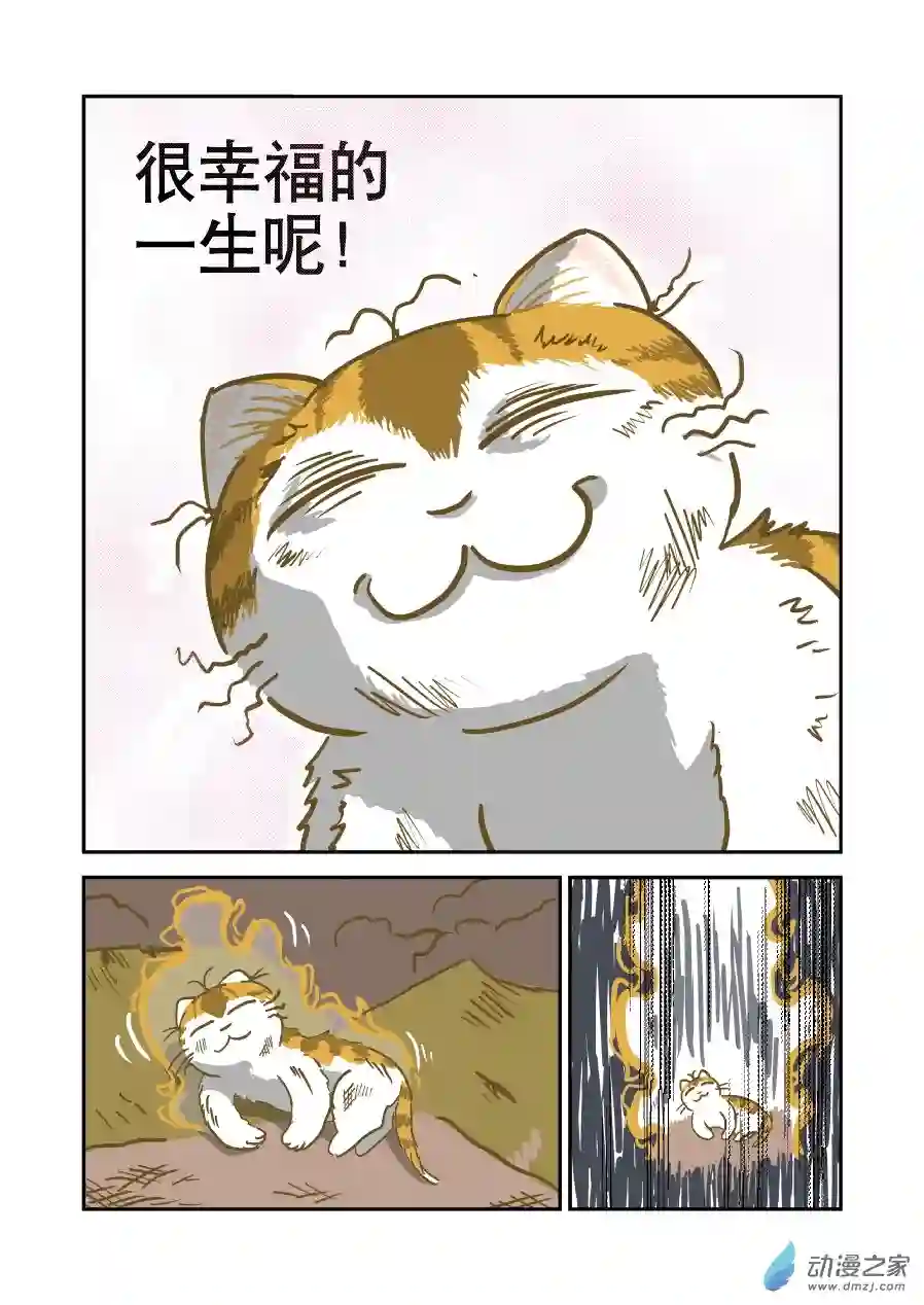 猫咪X猫咪01 平凡X幸福