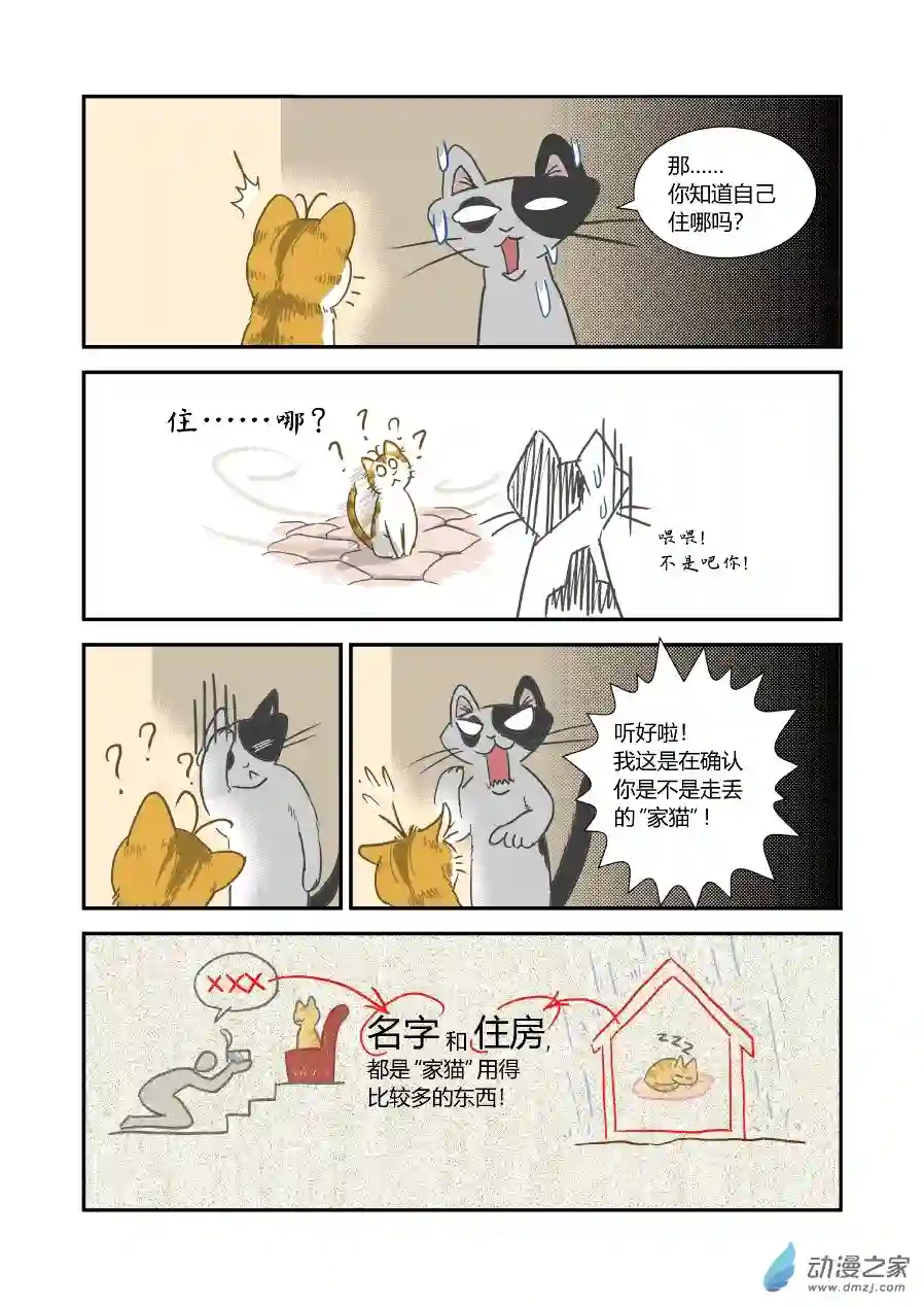 猫咪X猫咪01 平凡X幸福