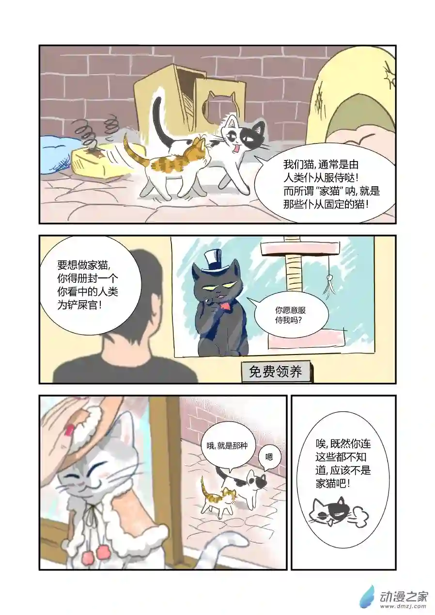 猫咪X猫咪01 平凡X幸福