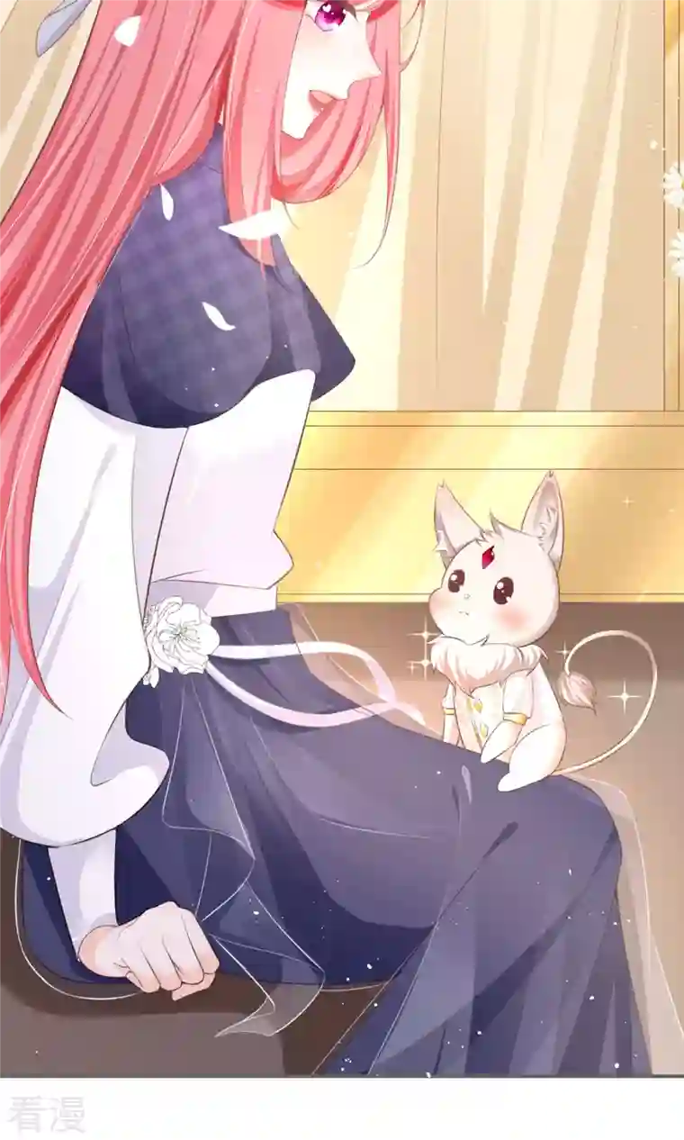 开挂女配攻略系统美男第3话 我是游戏系统