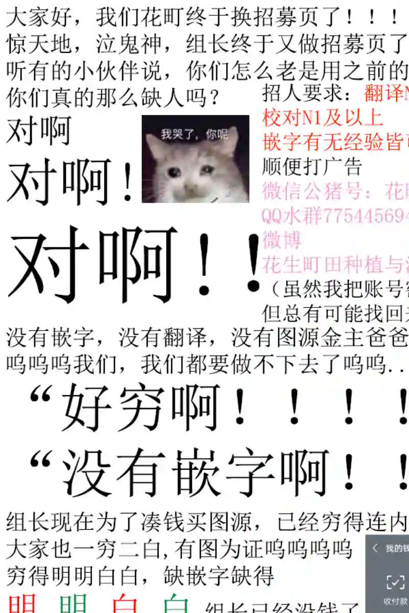 向丑女献上花束第22话