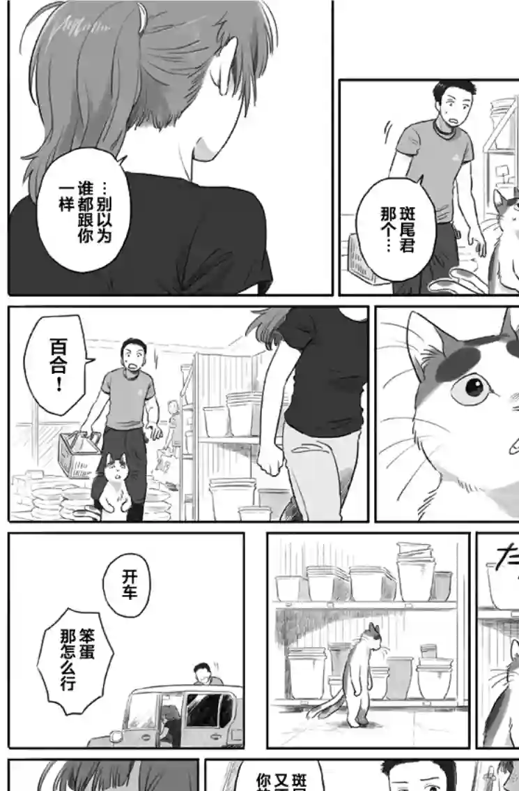 与妖为邻第17话