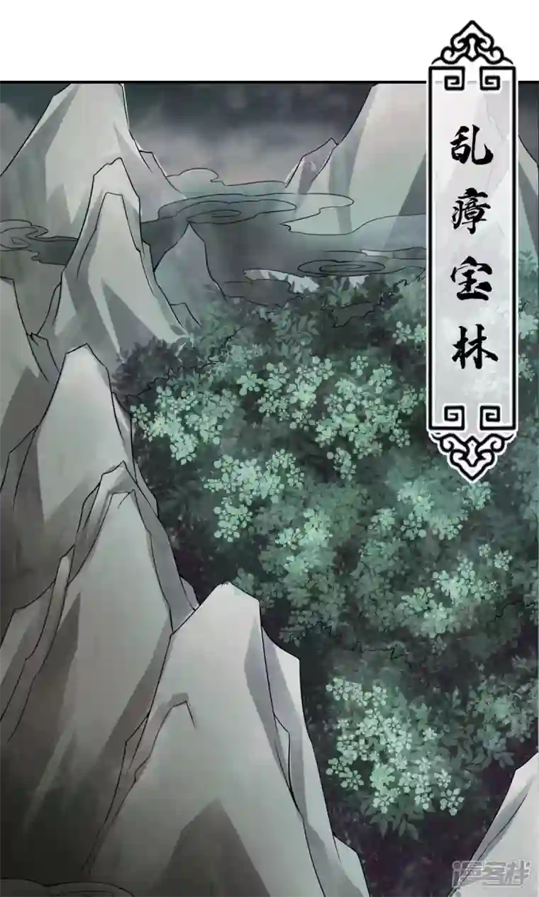 师兄啊师兄实在是太稳健了第8话 乱瘴宝林