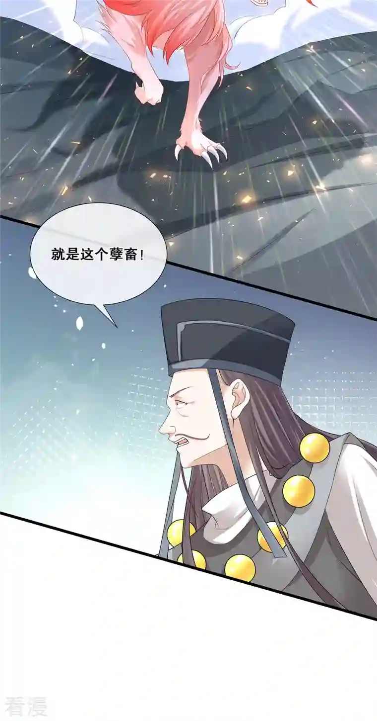 狐妃，别惹火2第67话 凶兽的袭击