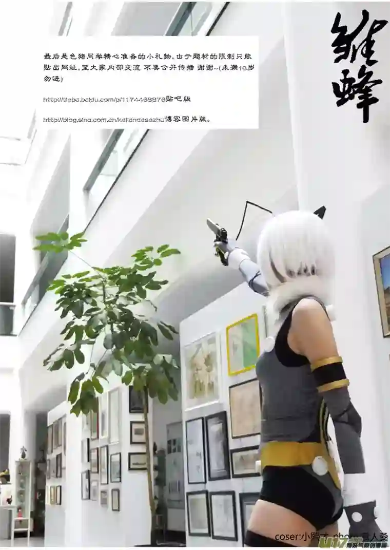 雏蜂断更之章