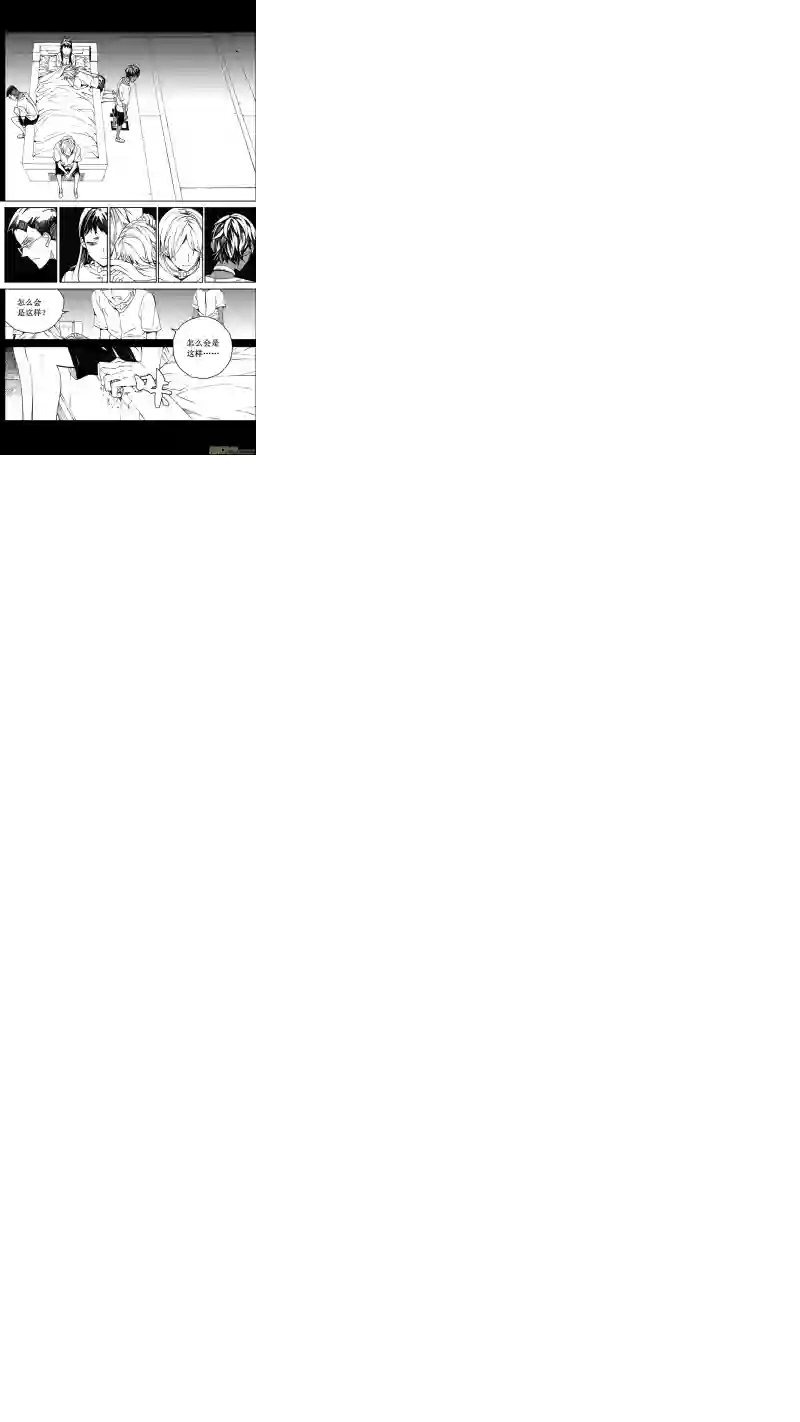 雏蜂74 逆战（其四）
