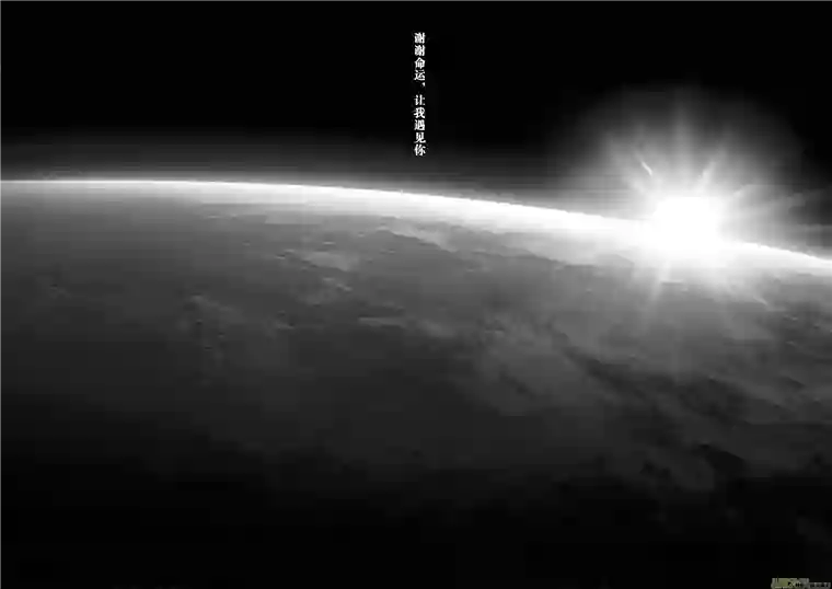 雏蜂110:我们（其四）