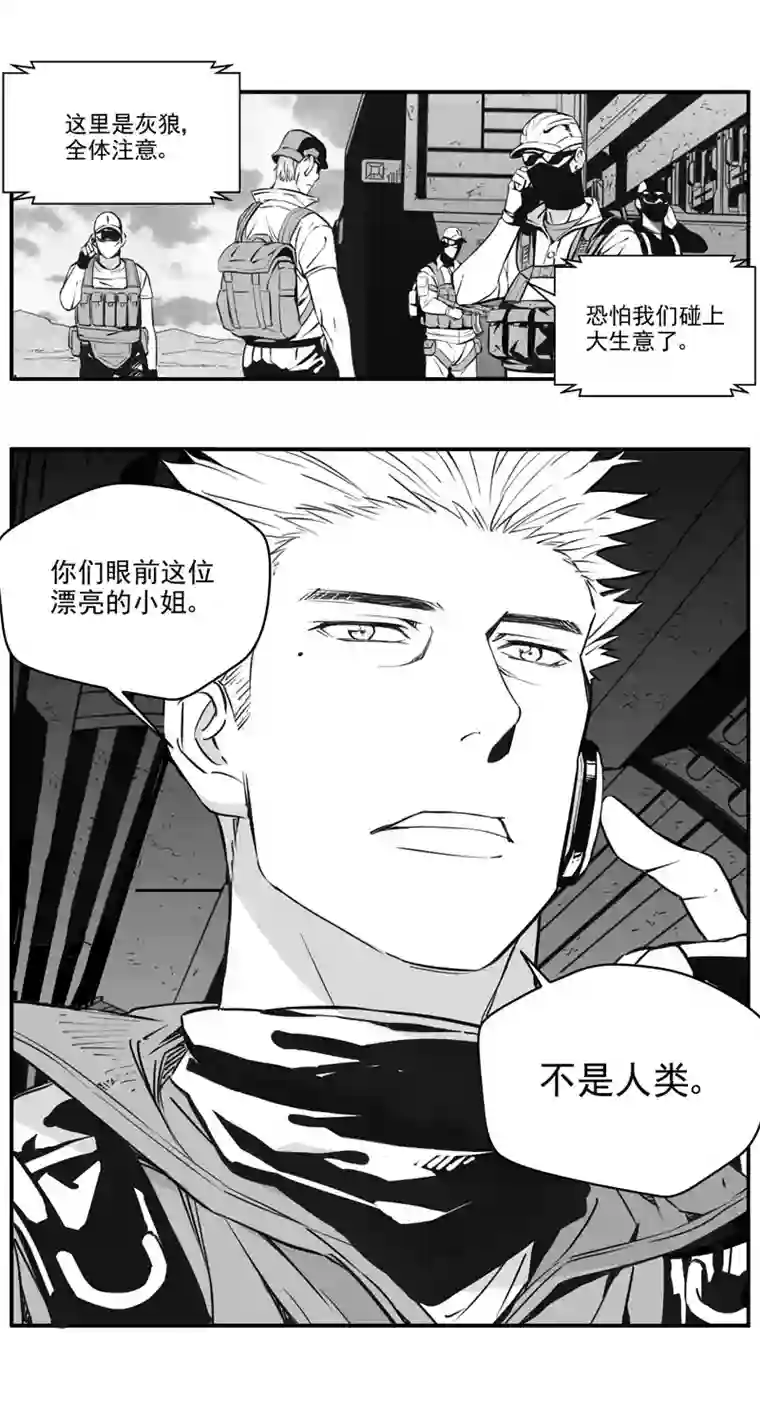 雏蜂302：第三部131灰狼的生意（其三）