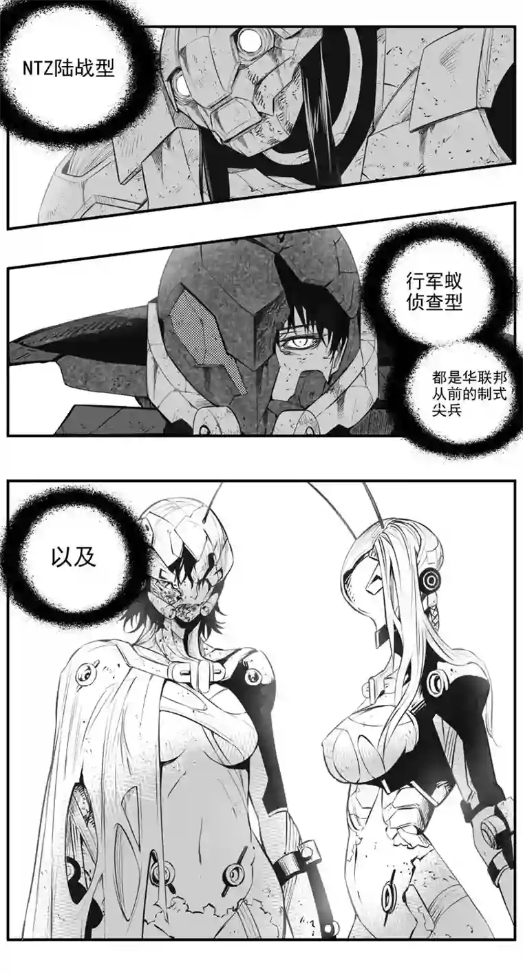 雏蜂304：第三部133灰狼的生意（其五）