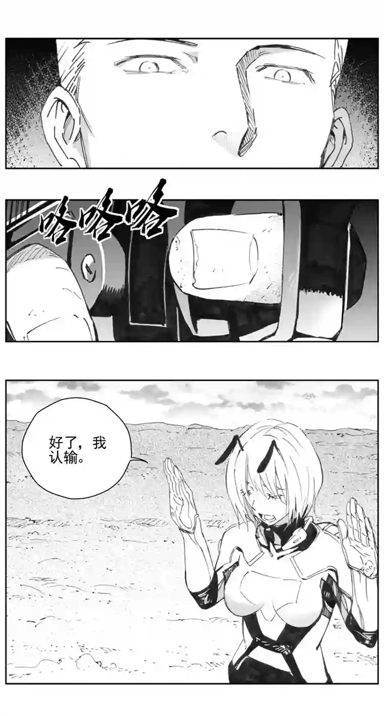 雏蜂307：第三部136灰狼的生意（其八）