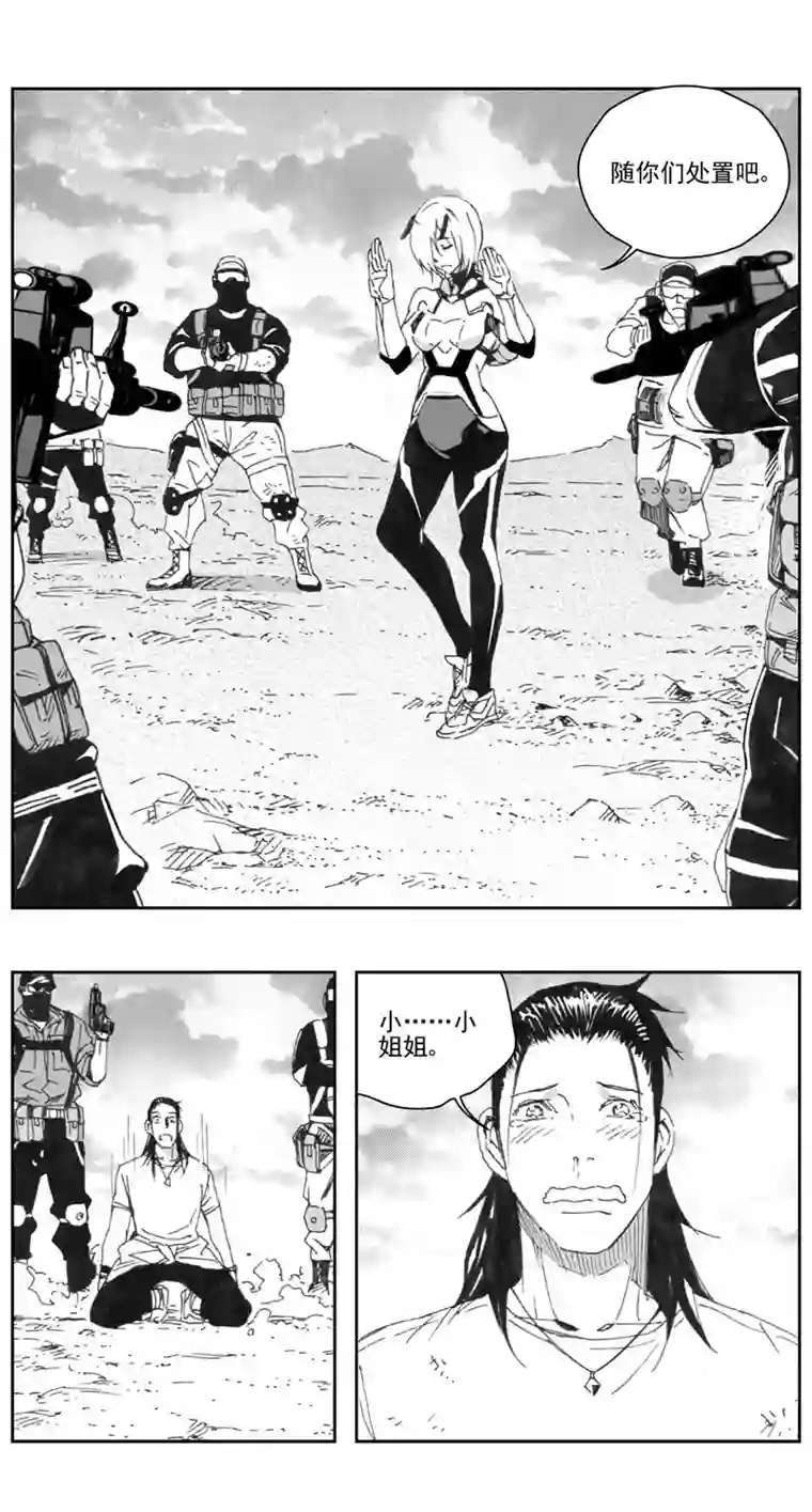 雏蜂307：第三部136灰狼的生意（其八）