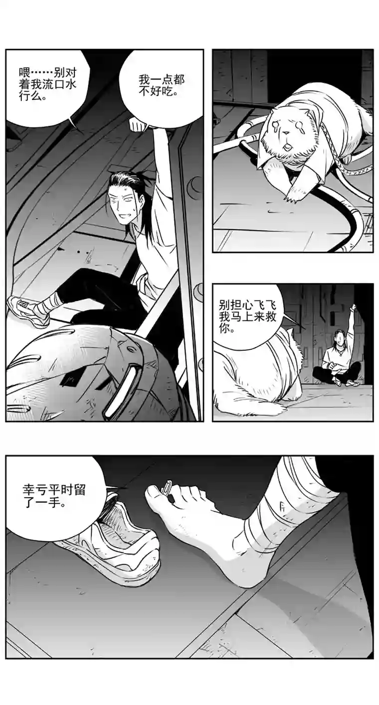 雏蜂308：第三部137灰狼的生意（其九）