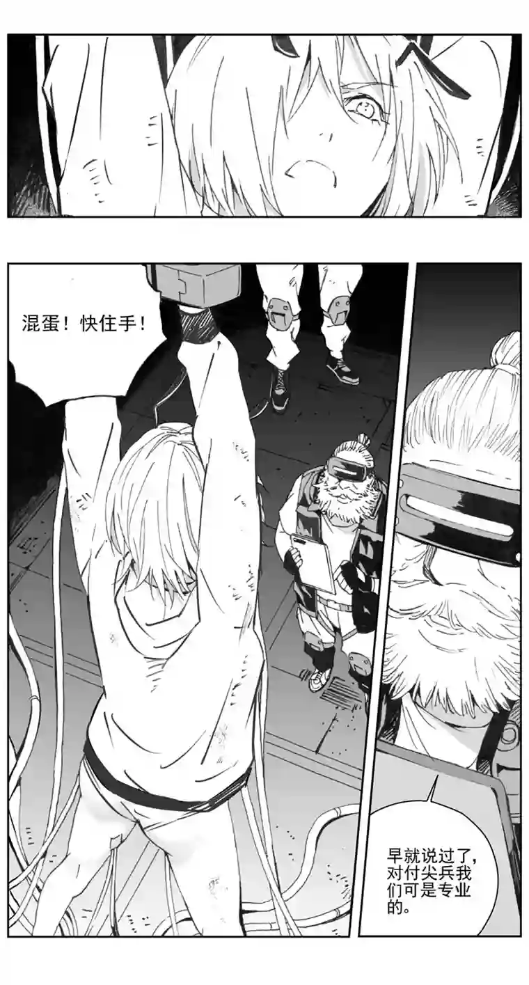雏蜂308：第三部137灰狼的生意（其九）
