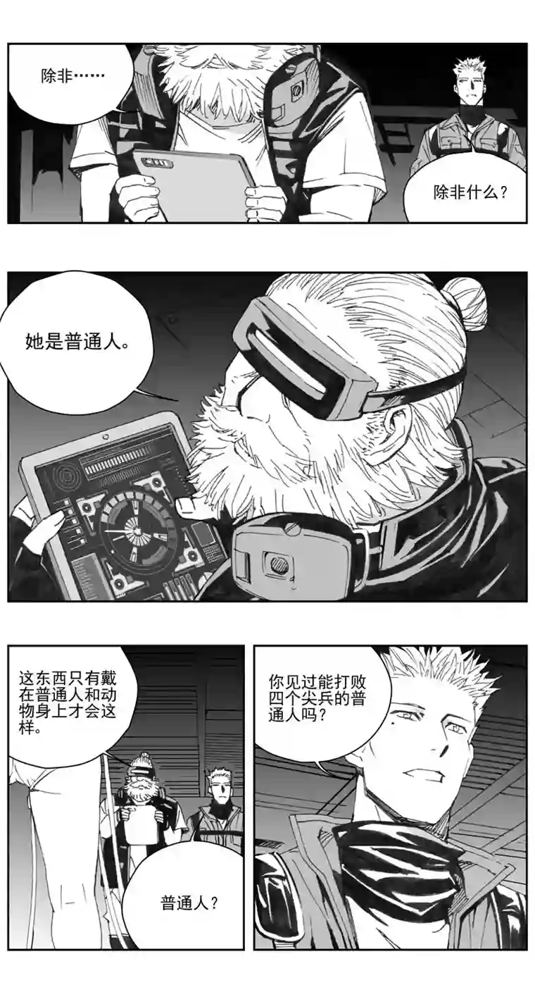 雏蜂308：第三部137灰狼的生意（其九）
