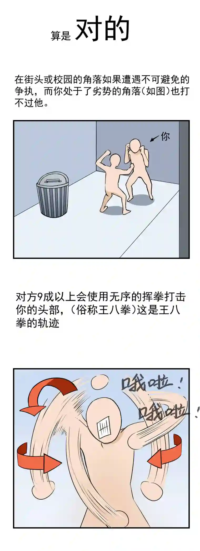 雏蜂番外 雏蜂小知识