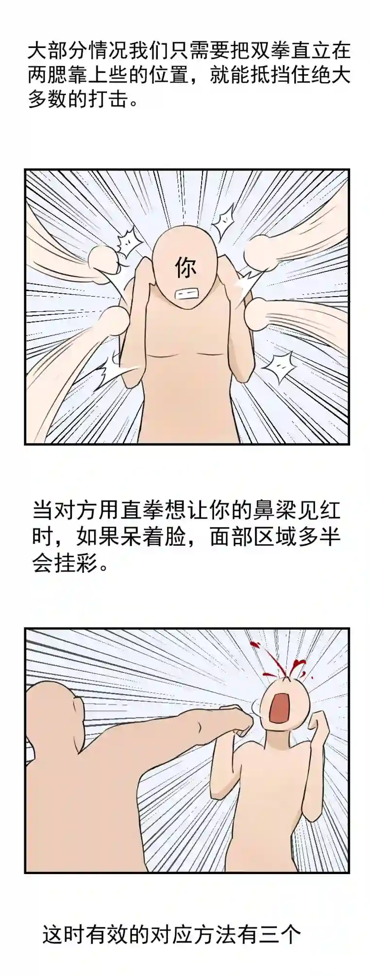 雏蜂番外 雏蜂小知识
