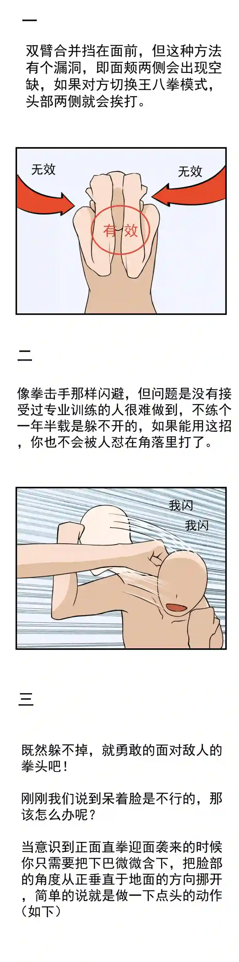 雏蜂番外 雏蜂小知识