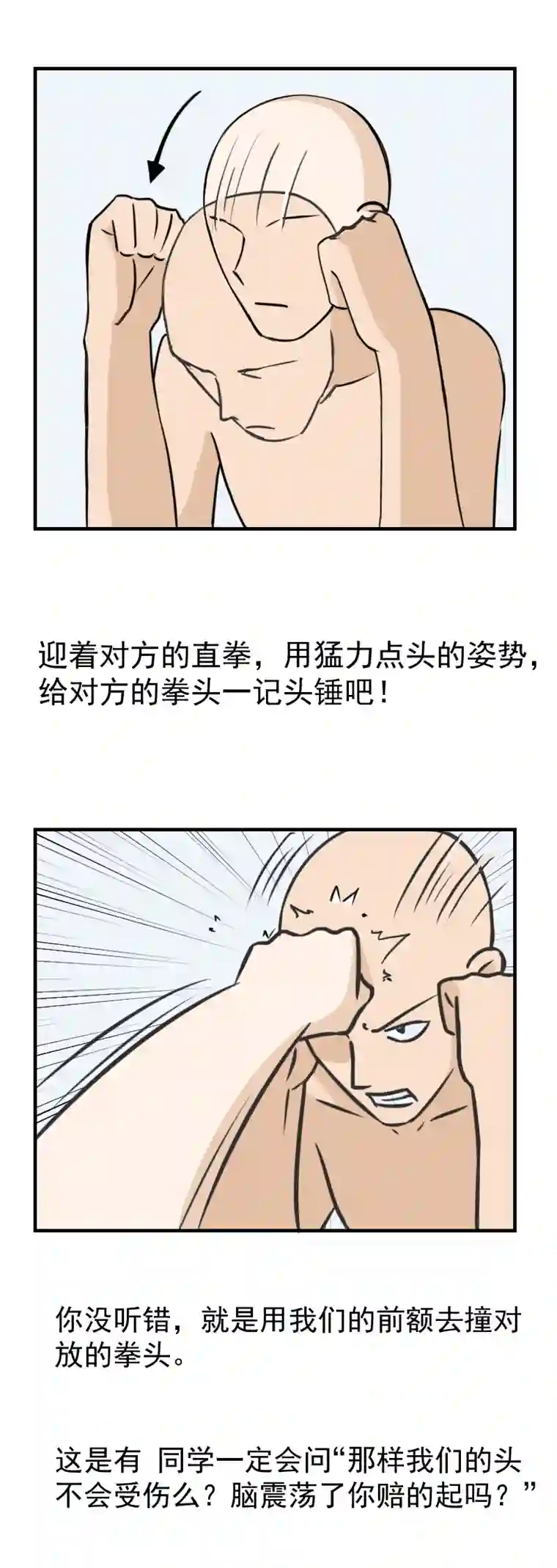 雏蜂番外 雏蜂小知识