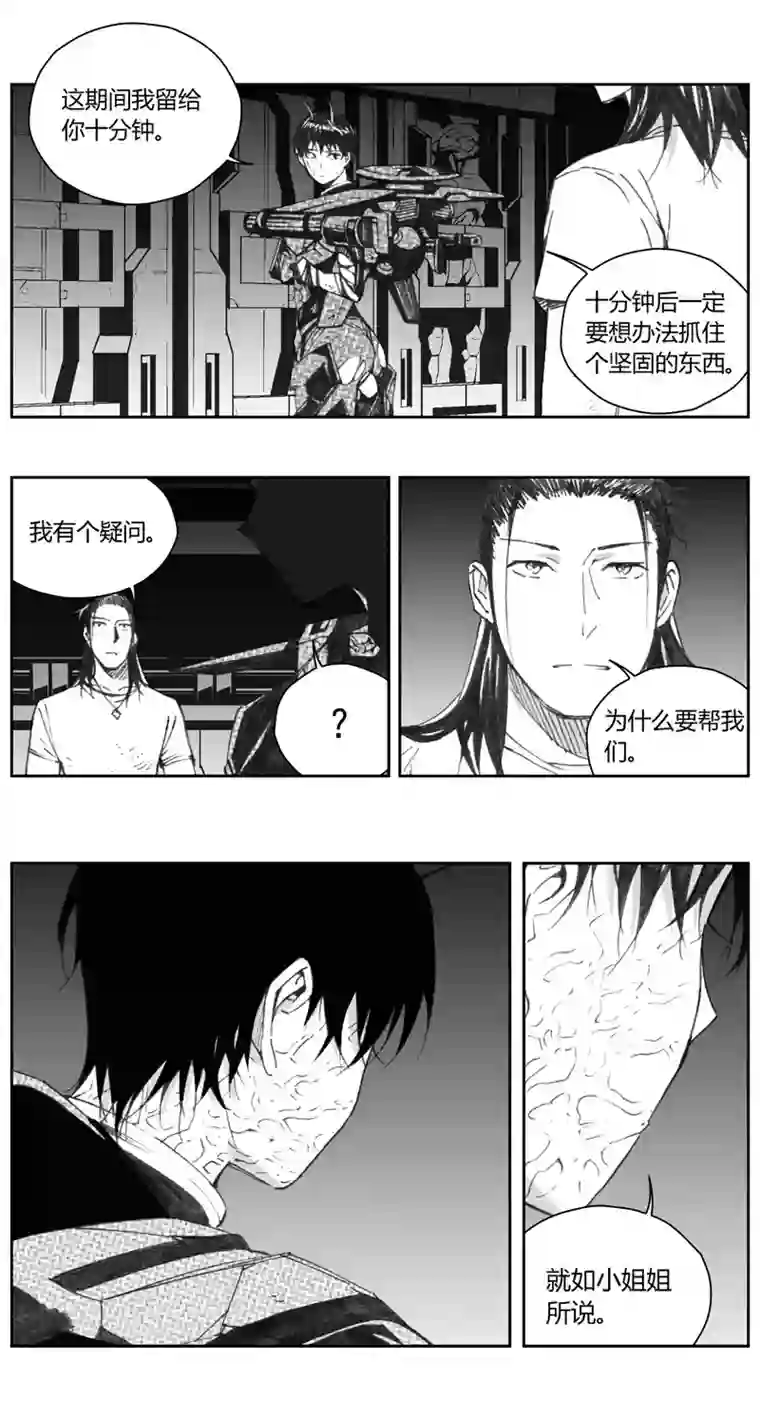 雏蜂310：第三部139灰狼的生意（十一）