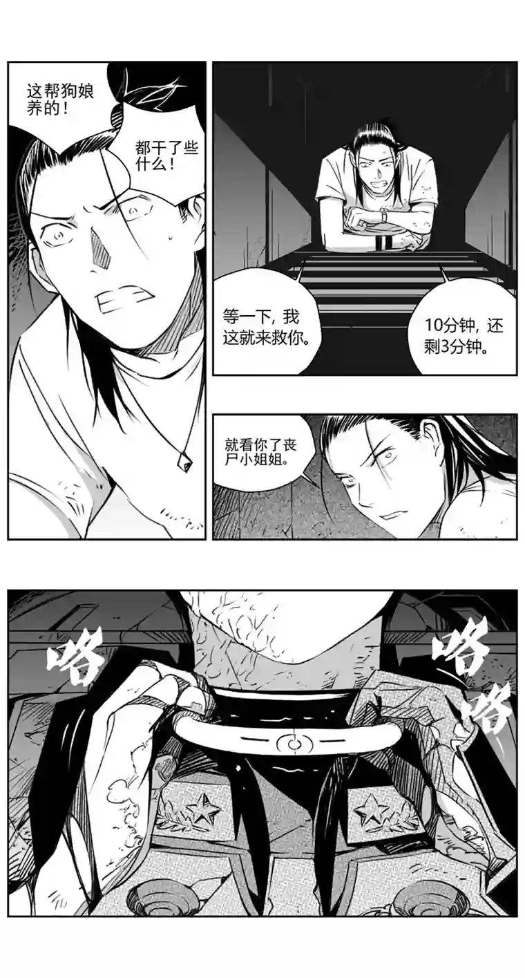 雏蜂310：第三部139灰狼的生意（十一）