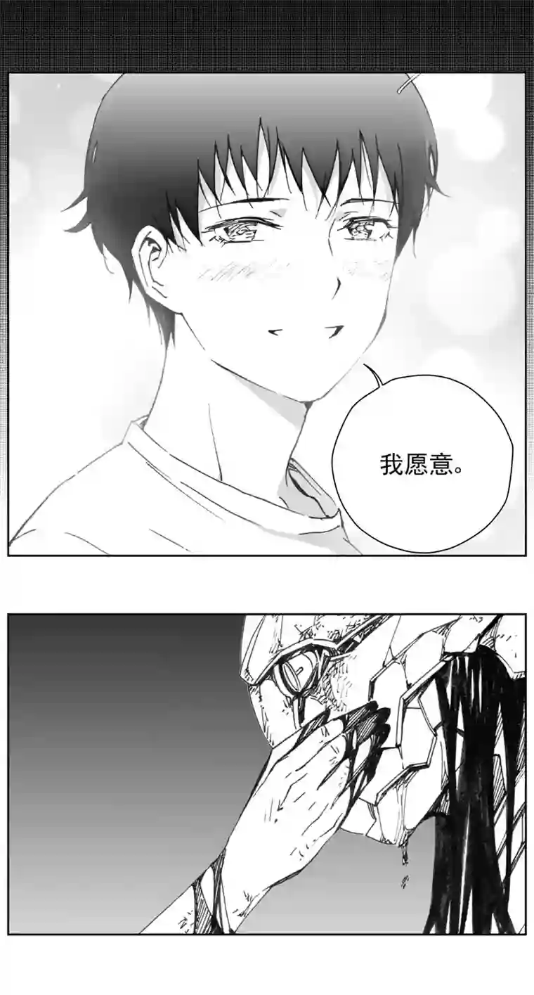 雏蜂310：第三部139灰狼的生意（十一）