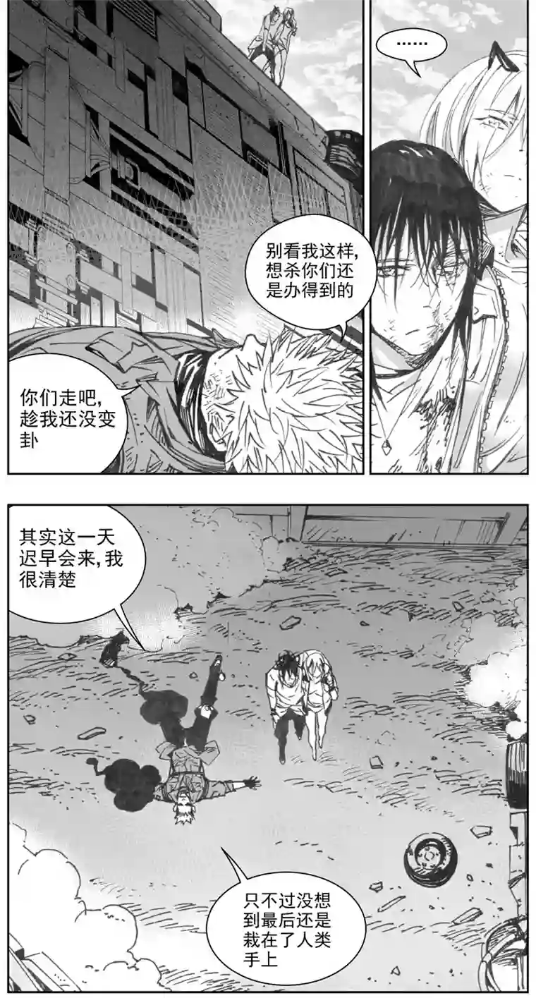 雏蜂314：第三部143灰狼的生意（十五）