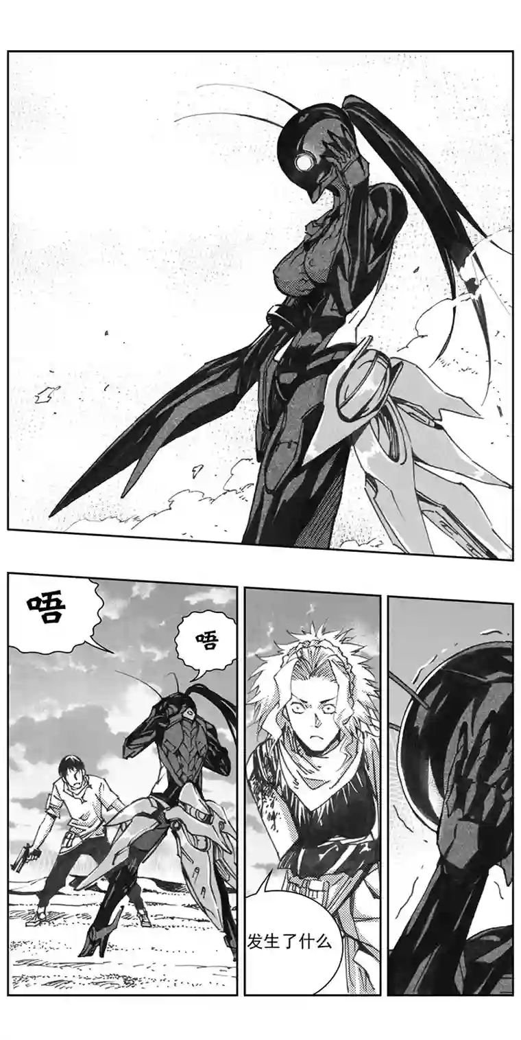 雏蜂326：第三部155沙漠相逢（其十一）