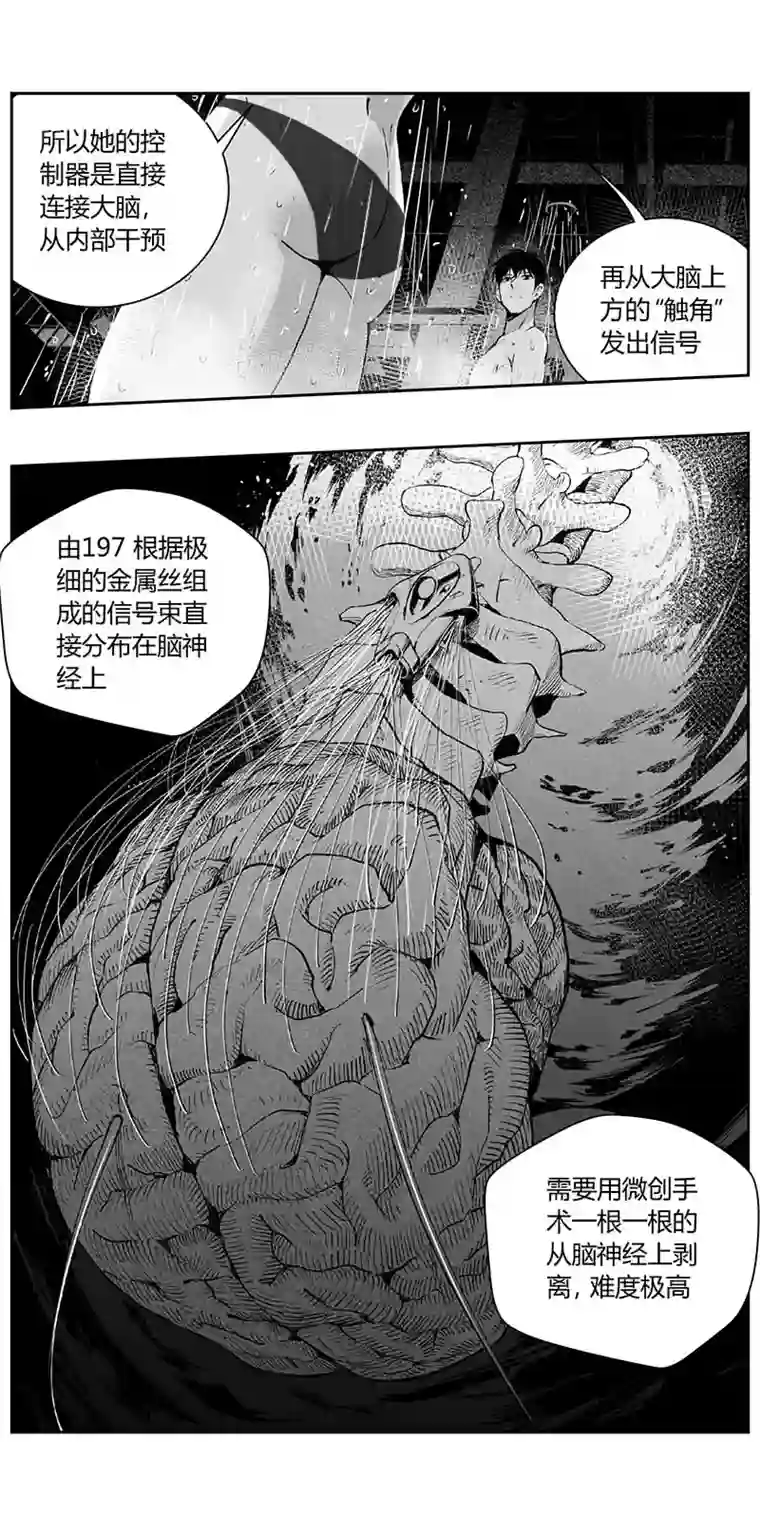 雏蜂335：第三部164沙漠相逢（其二十）