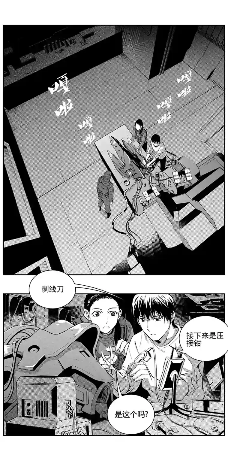 雏蜂339：第三部168 重生（其二）