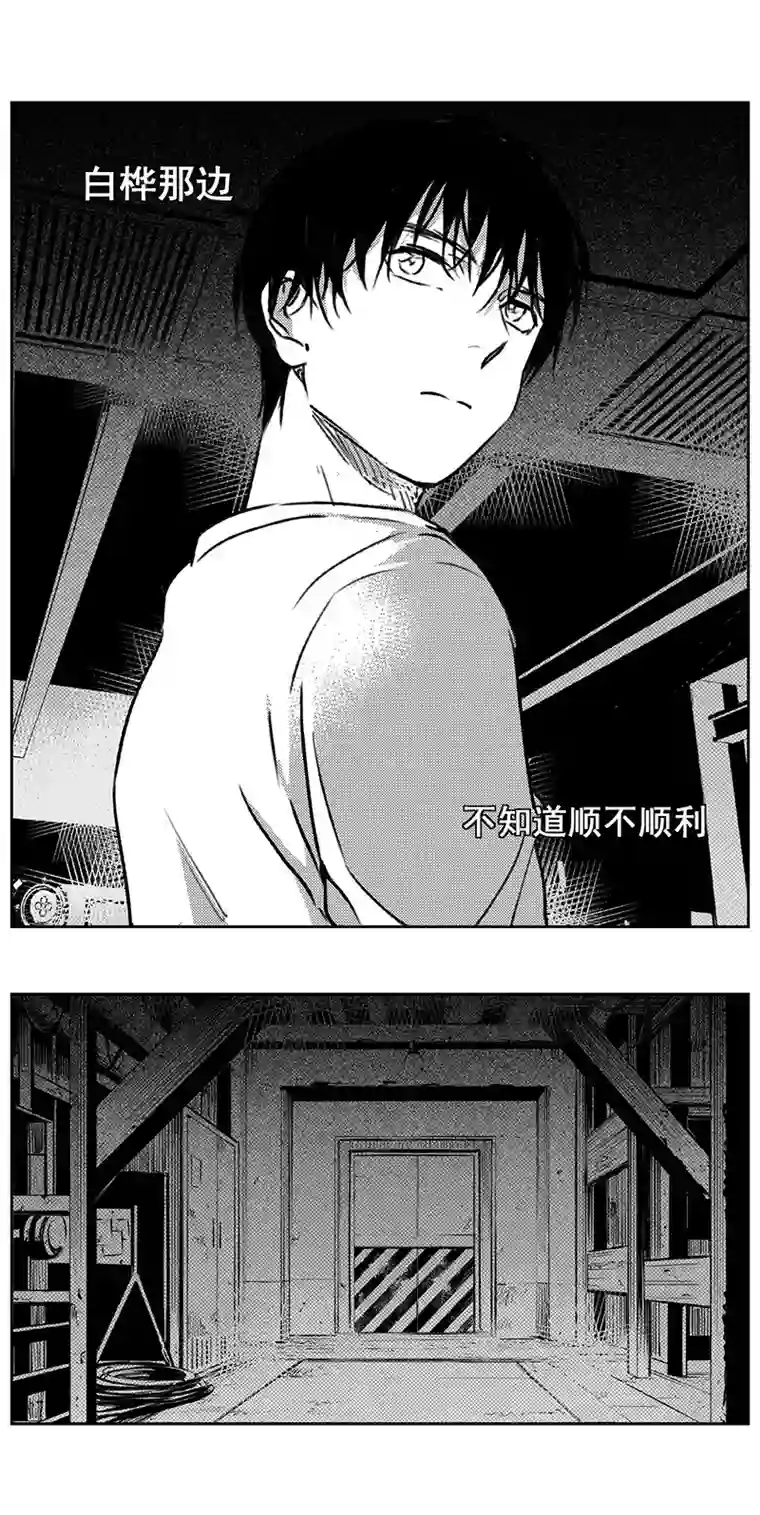 雏蜂339：第三部168 重生（其二）