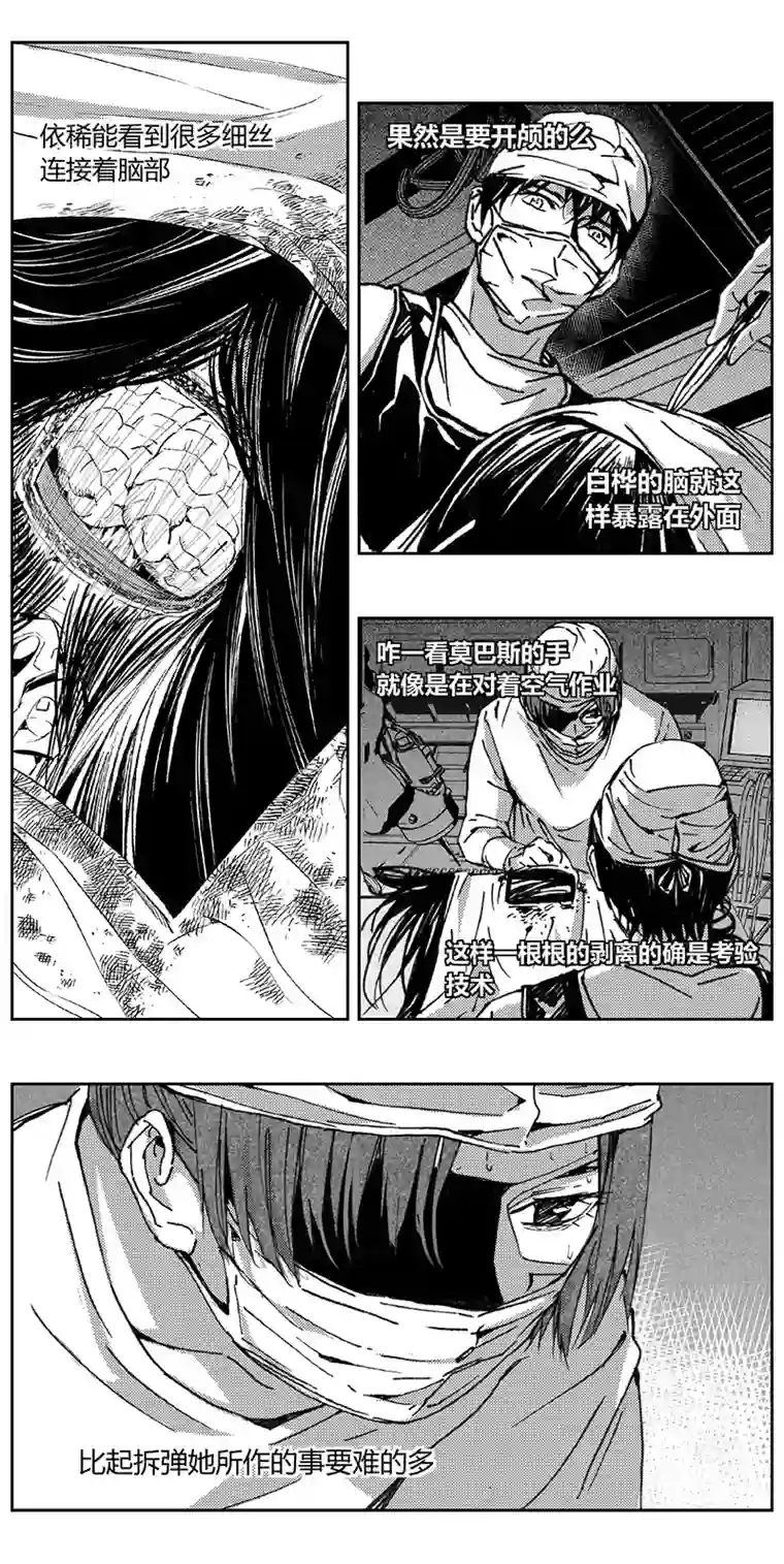雏蜂341：第三部170重生（其四）