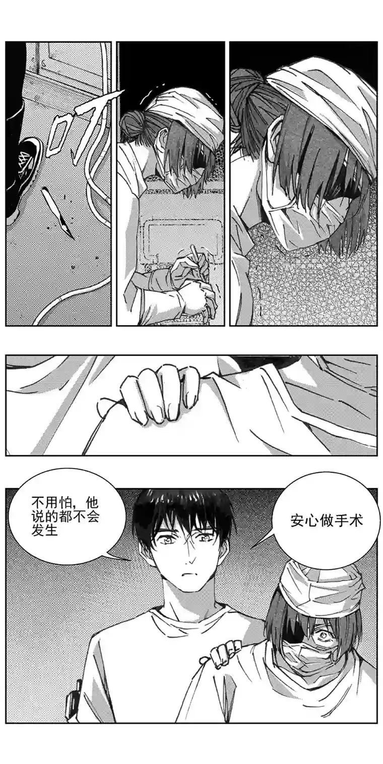 雏蜂343：第三部172重生（其六）