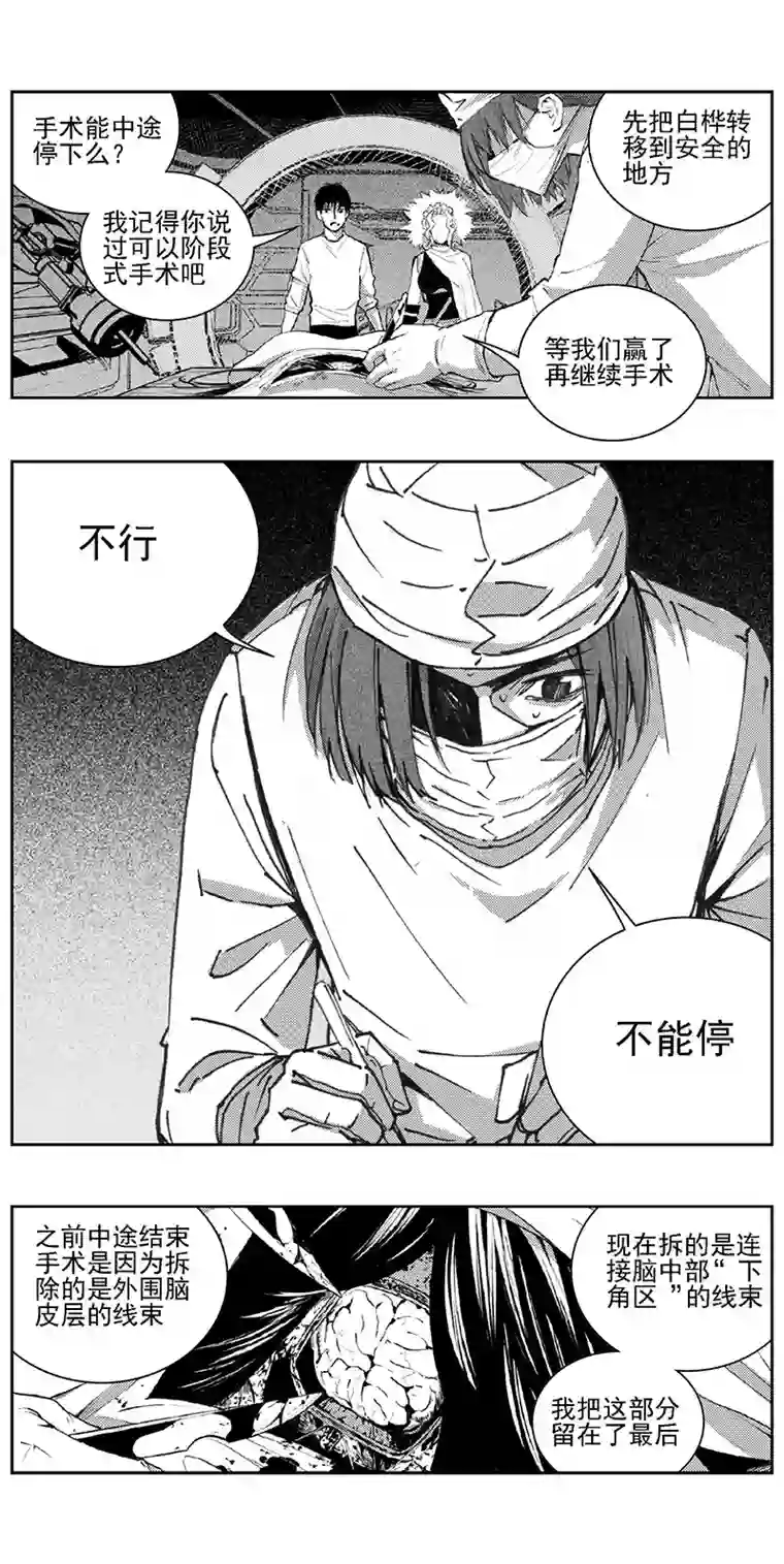 雏蜂343：第三部172重生（其六）