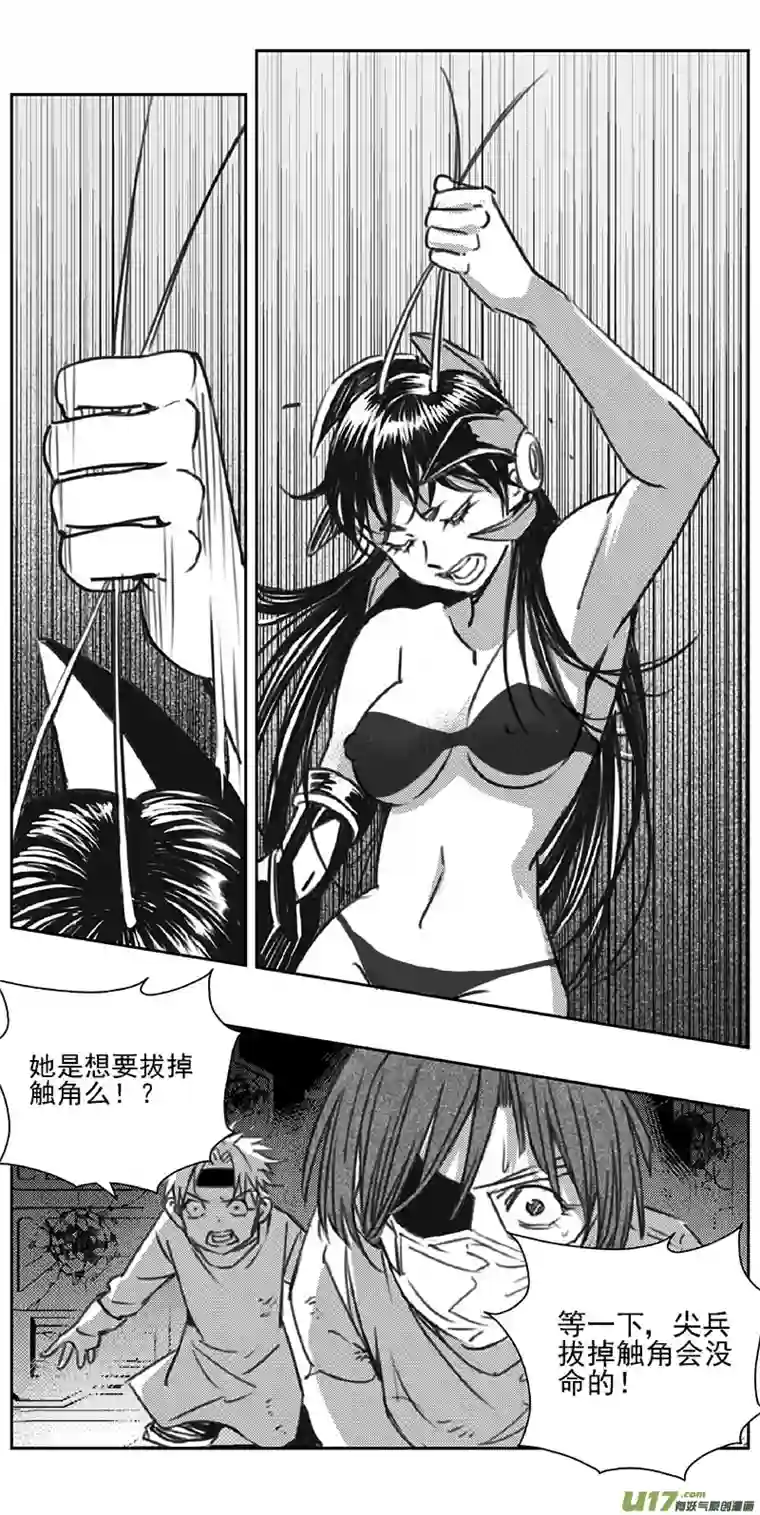 雏蜂347：第三部176重生（其十）