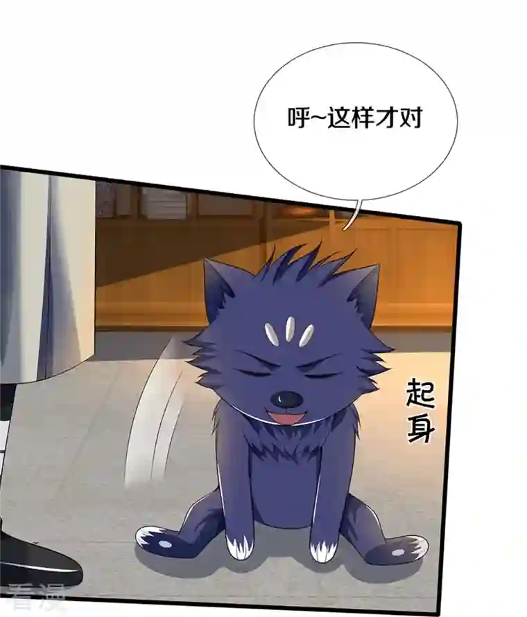 神武天尊第455话 界王