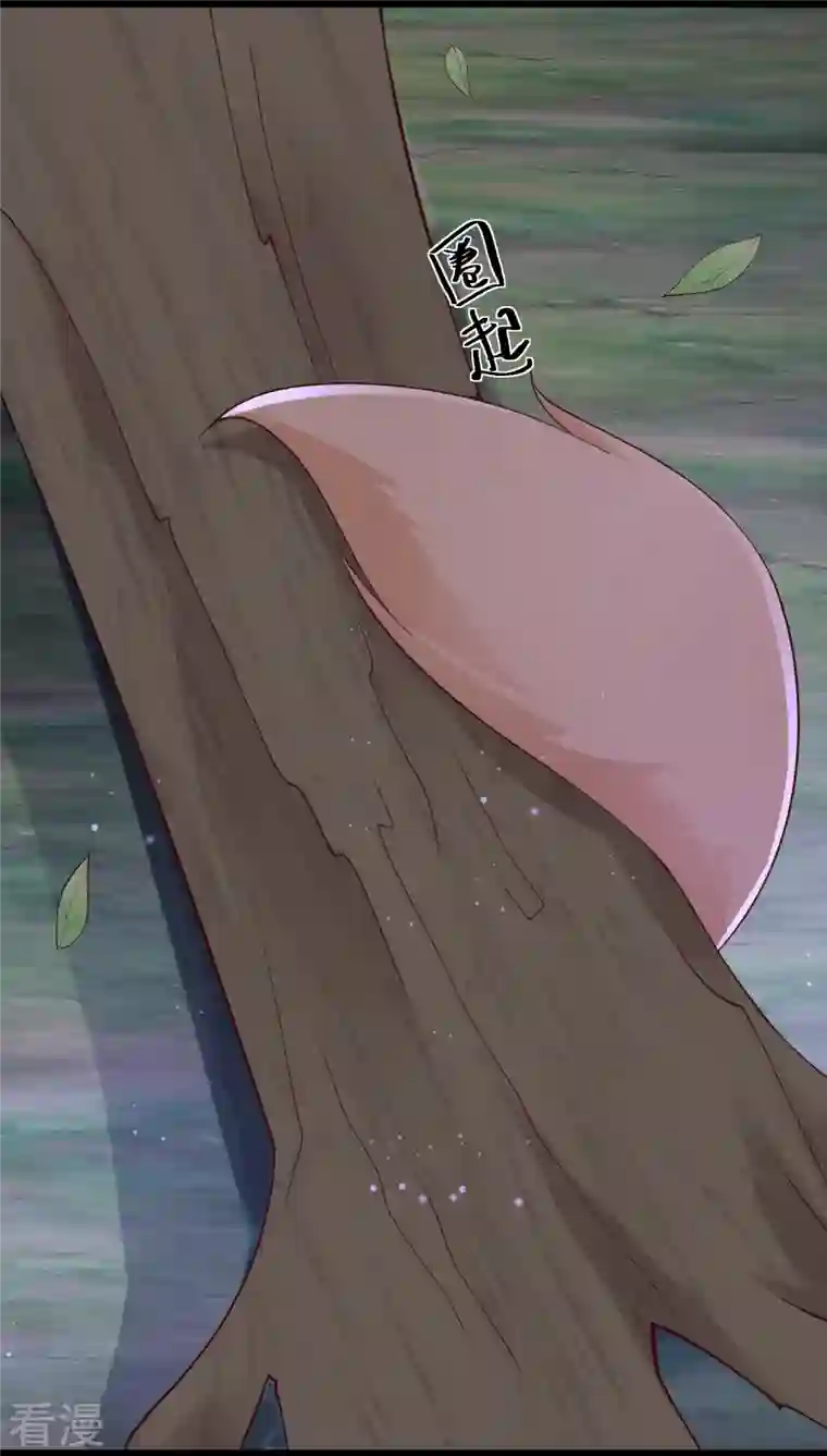 最强桃花运第271话 你要帮谁？？？