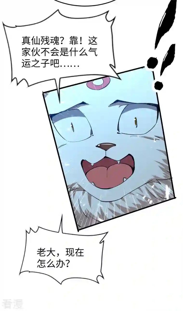 仙帝归来第299话 真仙残魂