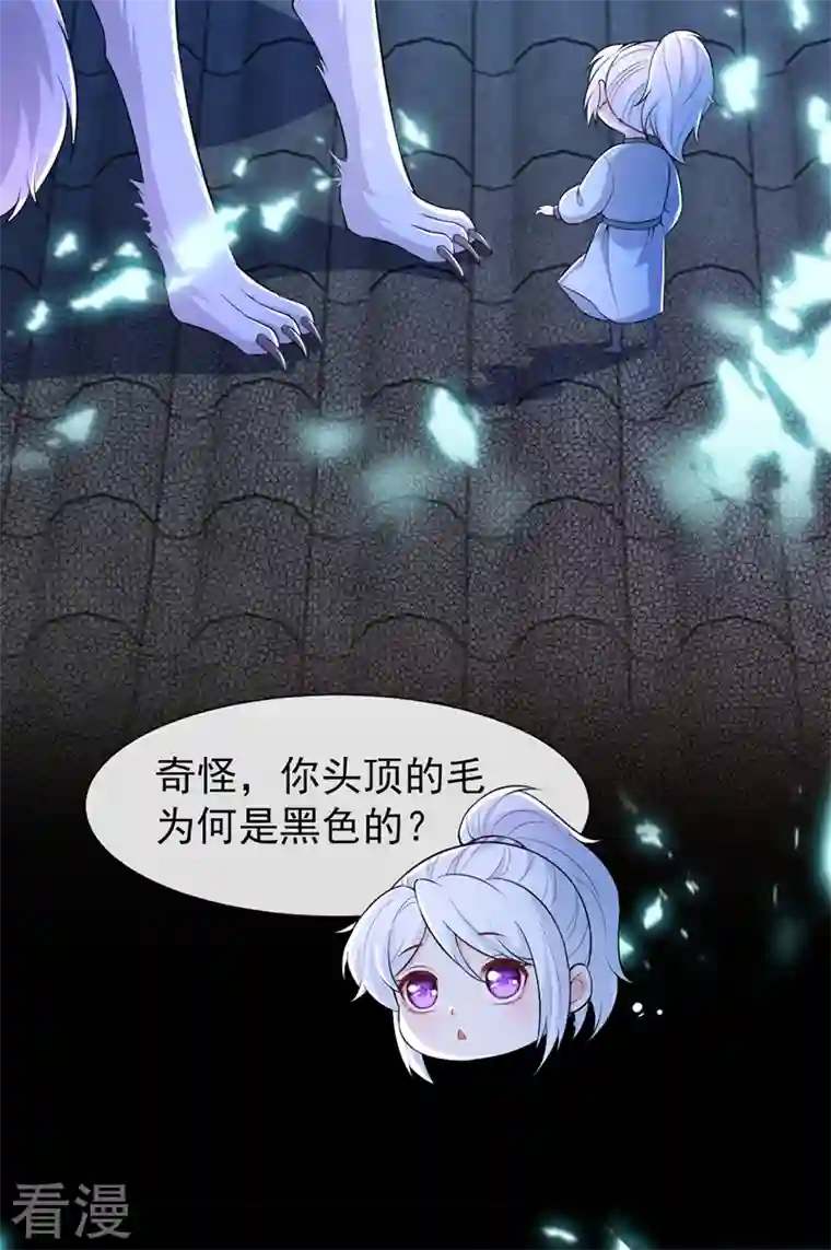 兽黑狂妃第162话 这是我的妹妹南玉