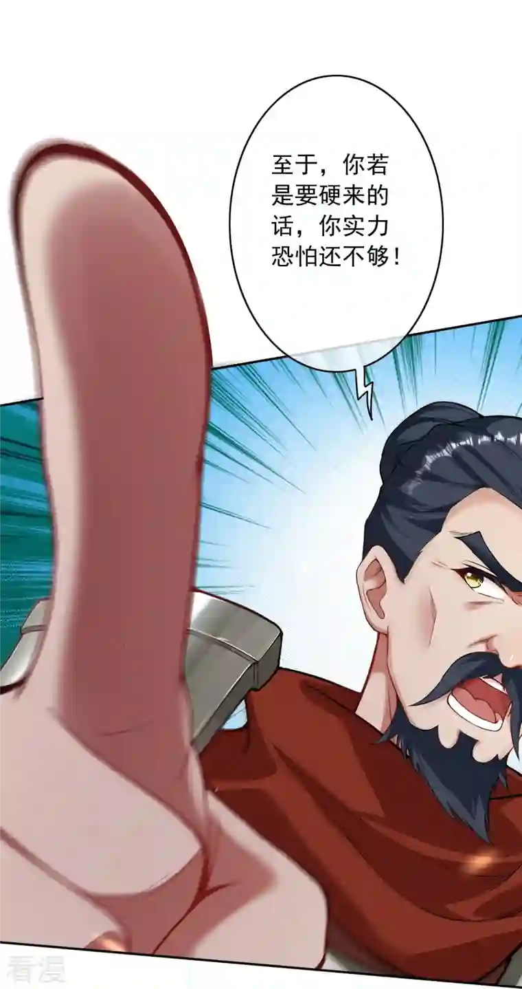 无敌剑域第157话 符文师徽章！