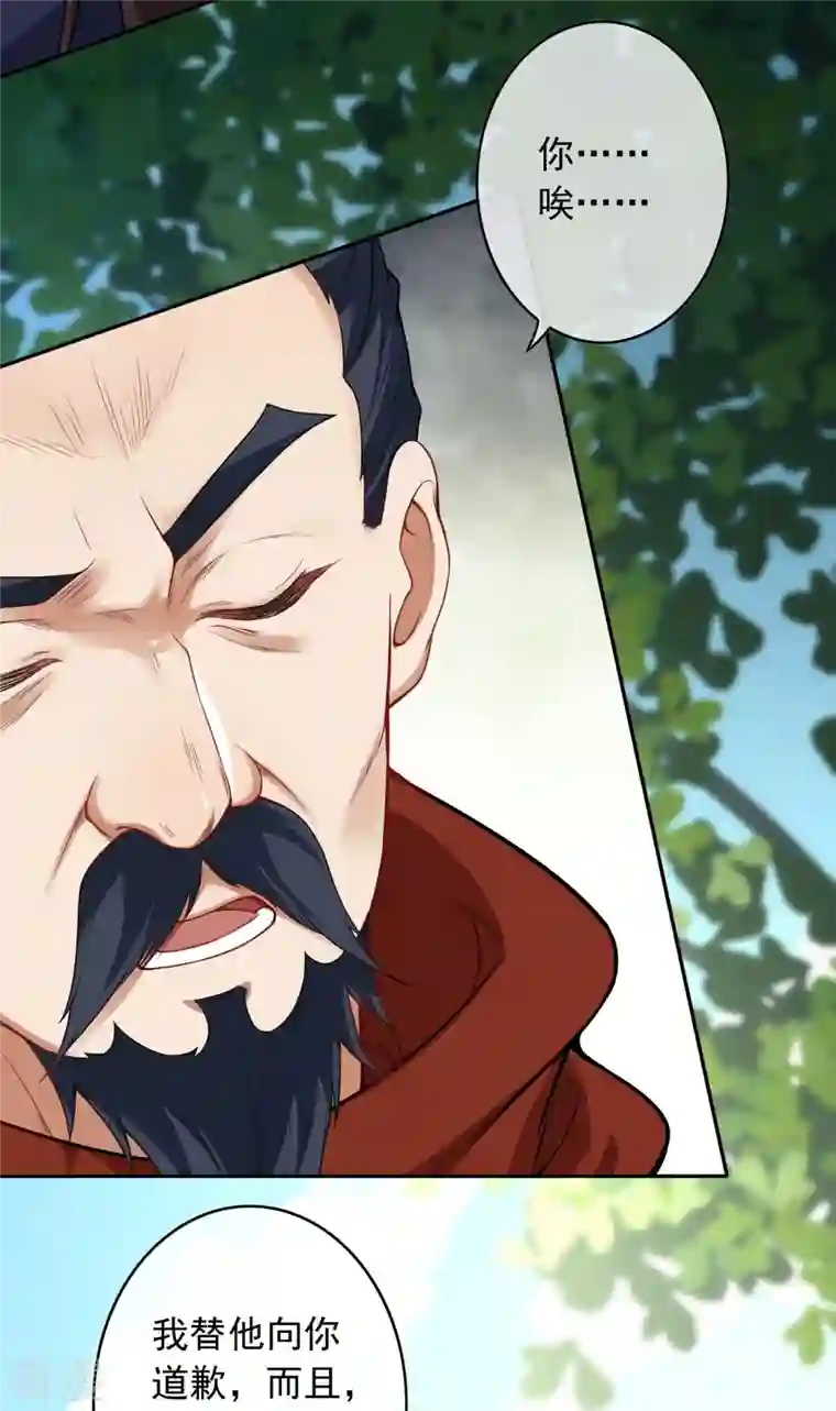 无敌剑域第157话 符文师徽章！