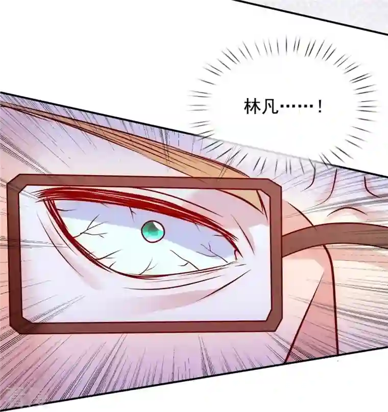 都市之逆天仙尊第273话 过街老鼠，人人打骂