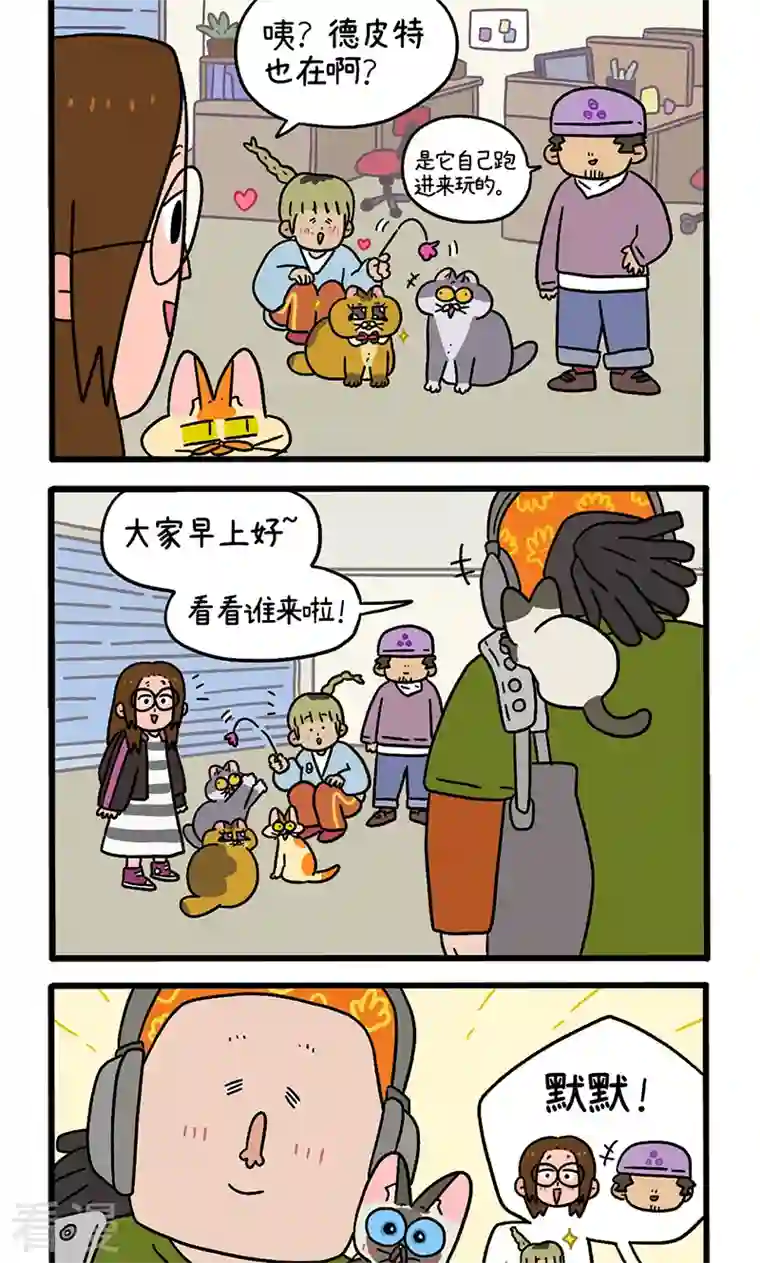 阿满和麦茶第82话1 猫咪再聚会