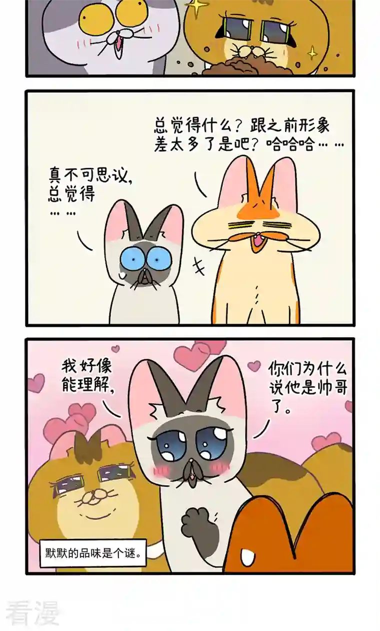 阿满和麦茶第82话1 猫咪再聚会