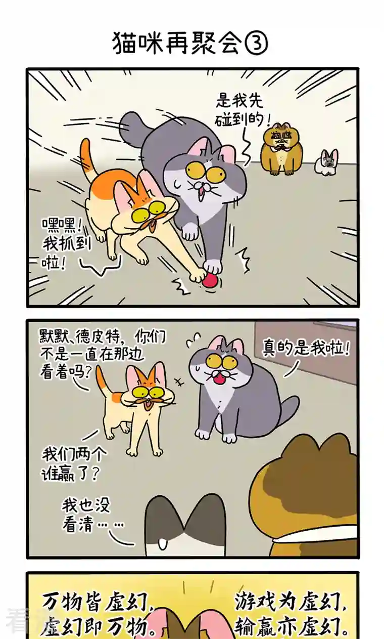 阿满和麦茶第82话1 猫咪再聚会