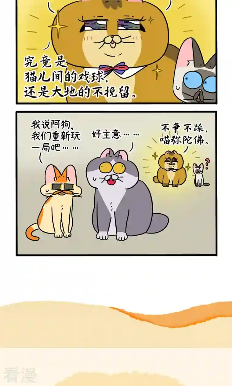 阿满和麦茶第82话1 猫咪再聚会